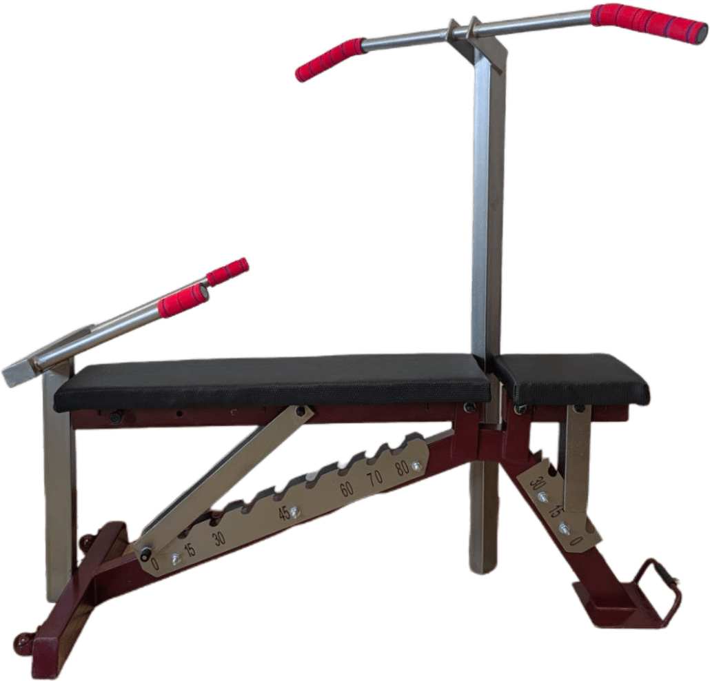 Adjustable bench with pullup & dips