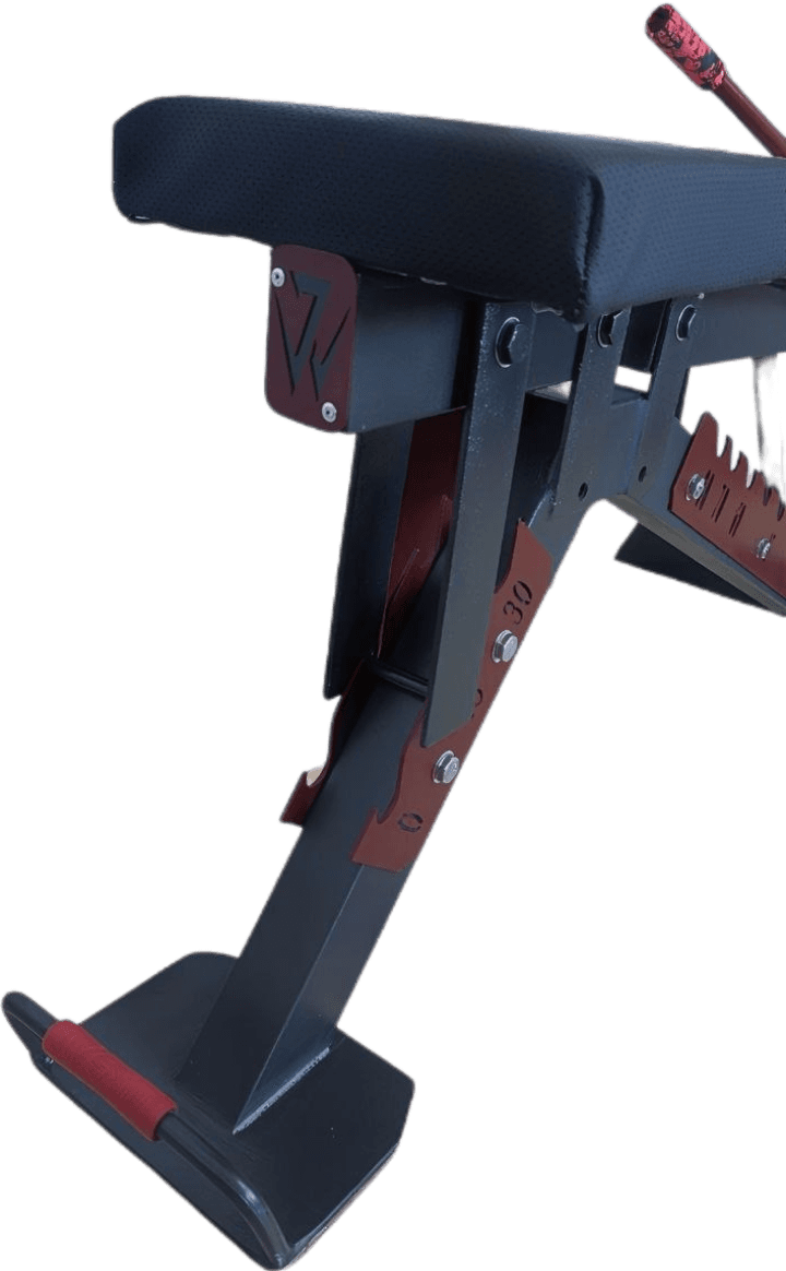 Adjustable bench with pullup & dips