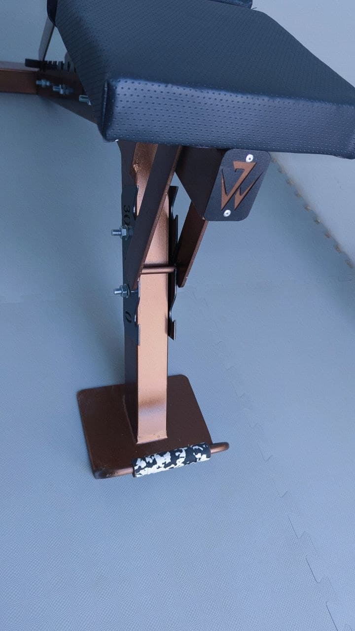 Adjustable bench with pullup & dips