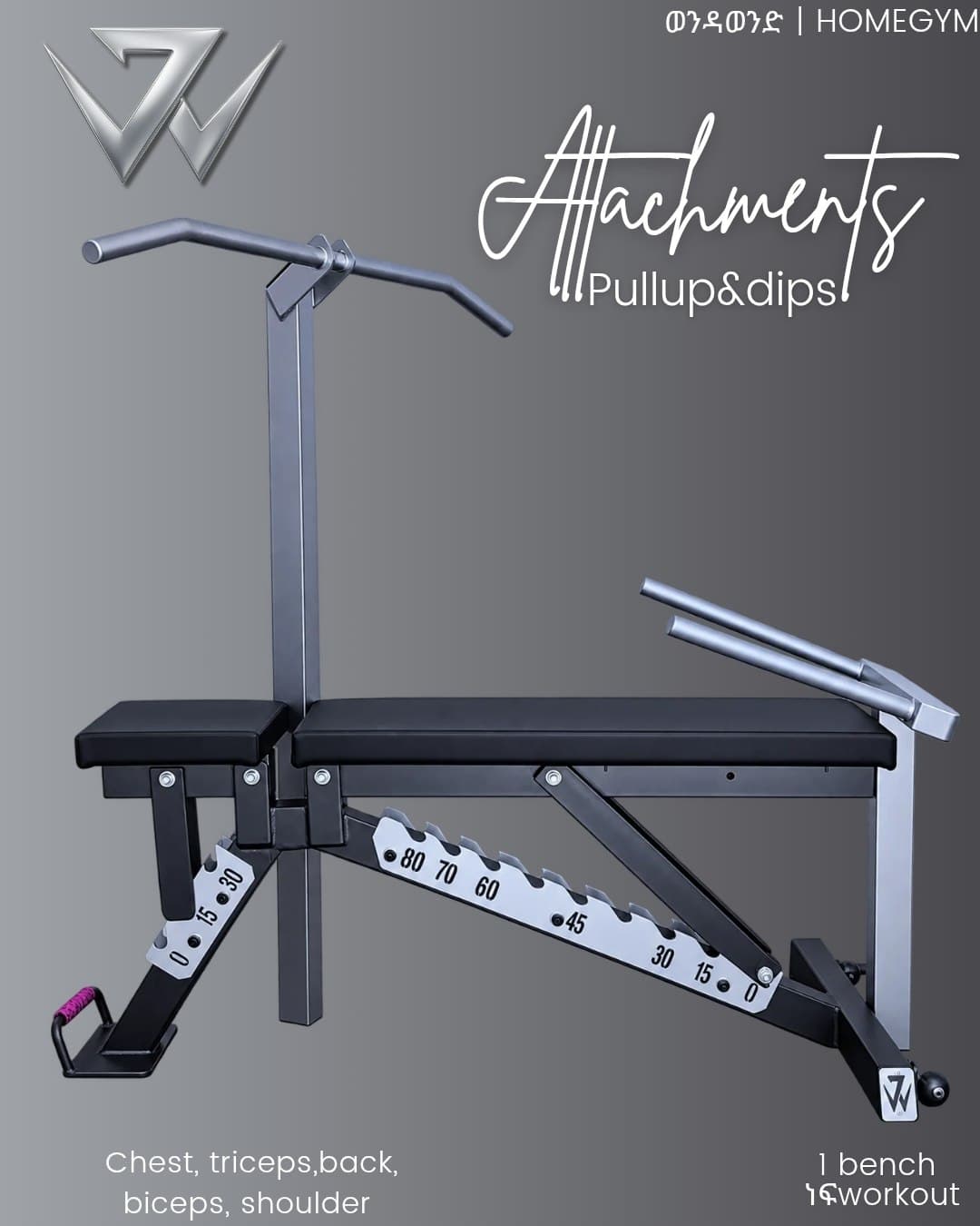 Adjustable bench with pullup & dips
