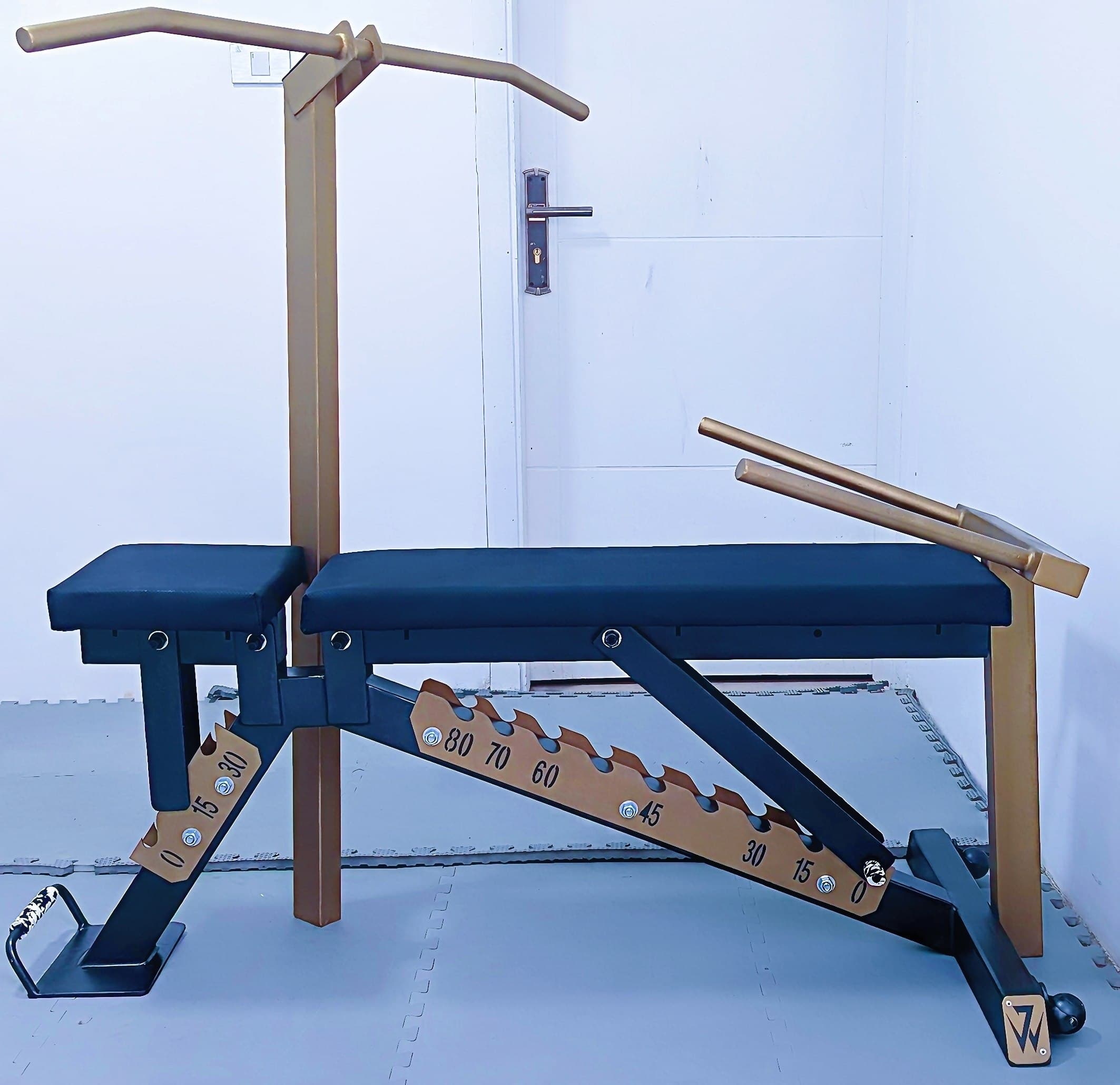 Adjustable bench with pullup & dips