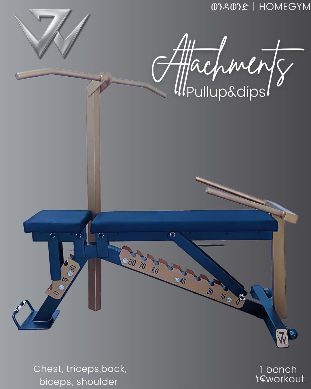 Adjustable bench with pullup & dips